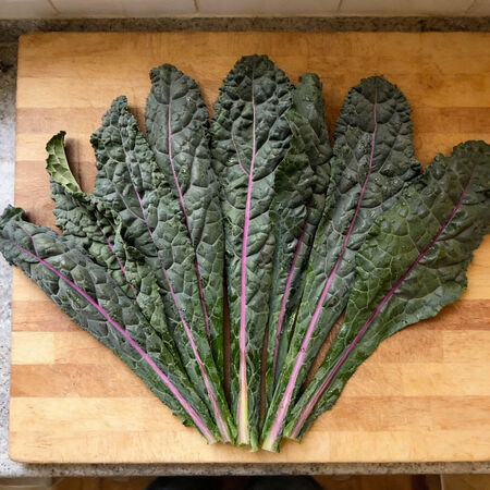 Dazzling Blue, Kale Seed - Packet image number null
